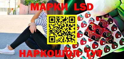 гидропоника Тула
