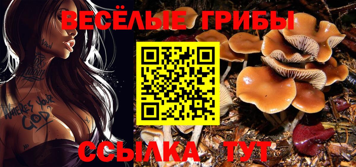 Галлюциногенные грибы Magic Shrooms Мценск